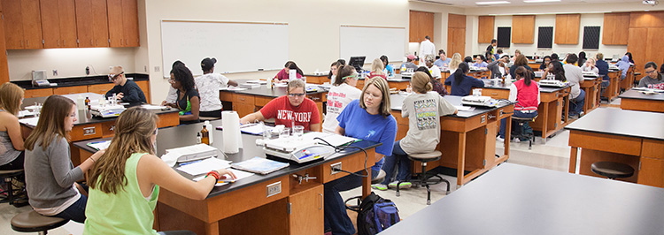 Students in lab