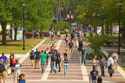  Students walking on campus