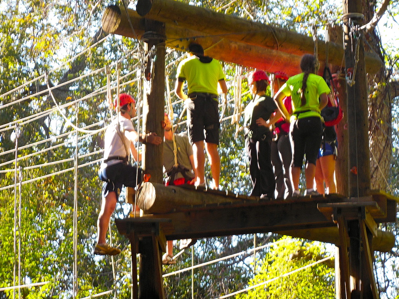 HESA Students completing a ropes course.