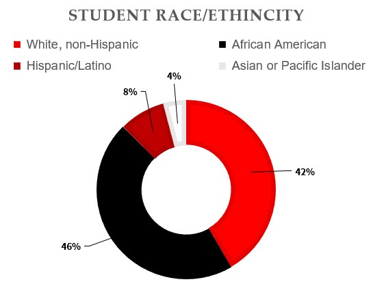 mft24student-race-ethnicity.jpg