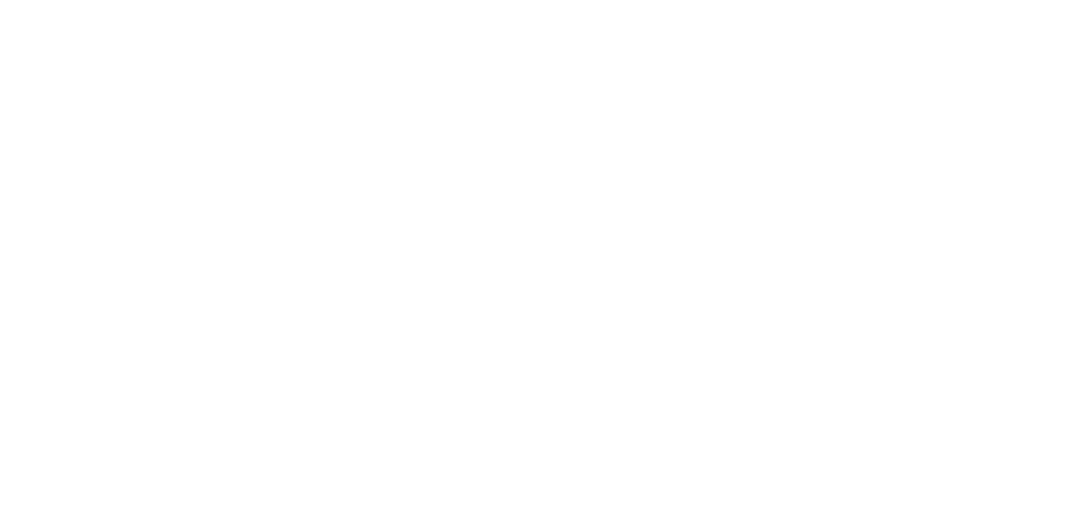 v-state-logo-reversed.png